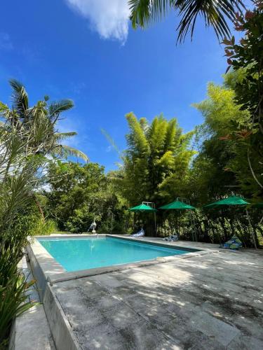 Piscina en o cerca de Apit Lawang EcoLodge Nusa Penida