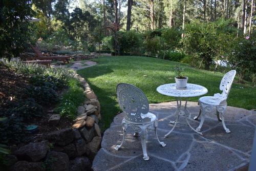 Zahrada ubytování Fern Cottage - Mt Dandenong romance