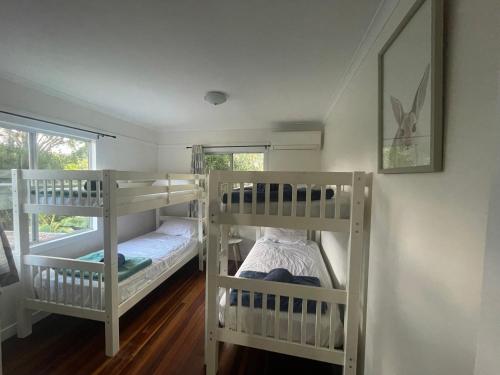 two bunk beds in a room with a window at Pet friendly beachfront home- sleeps 8 in Toogoom