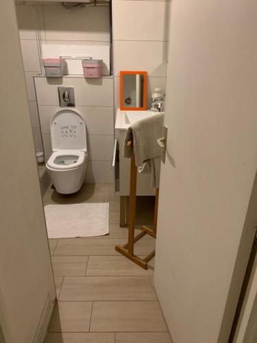 une petite salle de bain avec toilettes et lavabo dans l'établissement Grand Plongeon de la Piscine de notre Studio, à Canet