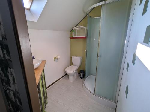a small bathroom with a toilet and a shower at Maison de charme avec terrasse et jardin clos à Messas - FR-1-590-568 in Messas