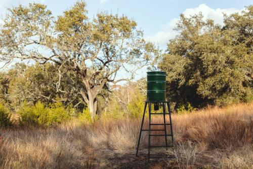 a green barrel sitting on top of a stand in a field at Blair House Inn and Spa in Wimberley