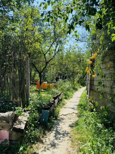 Un jardín fuera de Rossi Rest House