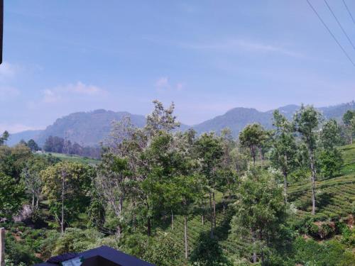 科塔吉里HaMy Resort, Kotagiri的山坡上树木和山脉的背景