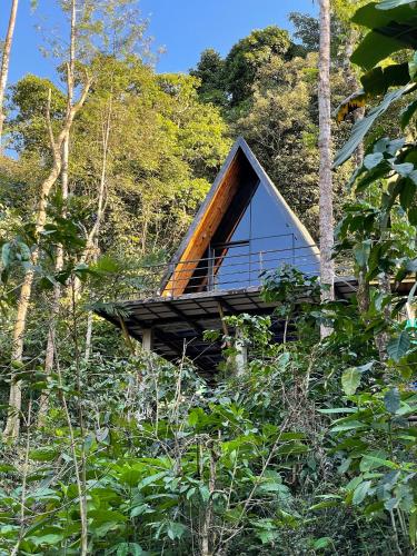 Fotografie z fotogalerie ubytování Birds Eye Estate- A frame v destinaci Avathi