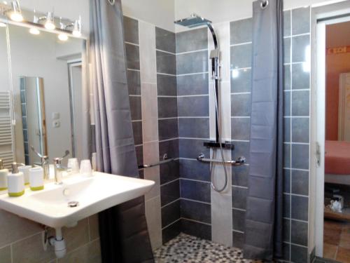 a bathroom with a sink and a shower at Le Cardonnet in Pont-Saint-Pierre