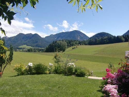 a field with flowers and mountains in the background at Haus Brandstaetter in Grundlsee