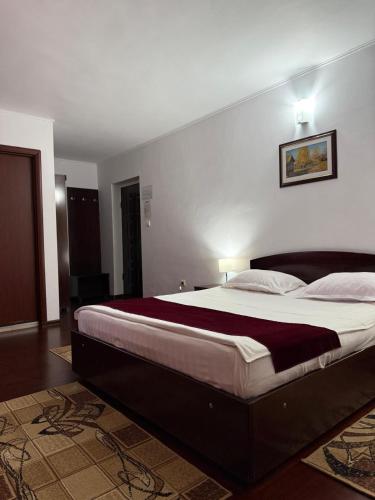 a bedroom with a large bed in a room at Hotel Ciric in Iaşi