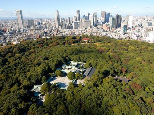 an aerial view of a park with a city in the background at SHIBUYA Bright Modern 40sqm Apartment FAMILY FRIENDLY!! in Tokyo