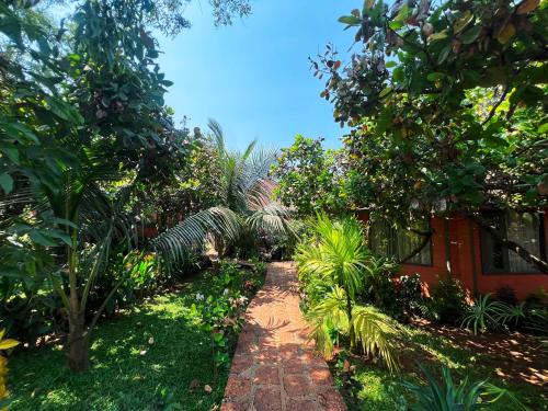 a path through a garden with trees and plants at Habitus Resort in Mandrem