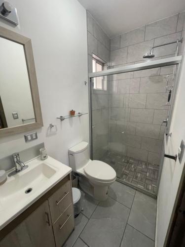 a bathroom with a shower and a toilet and a sink at Departamento completo in Chihuahua