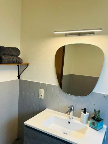 a bathroom with a sink and a mirror at Refugio Wolvenberg in Oudenaarde