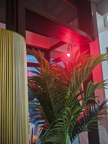 a green plant in a room with a red ceiling at hotel Victoria in Perpignan