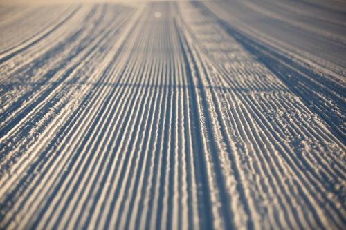 Gallery image of Perisher Manor Hotel in Perisher Valley