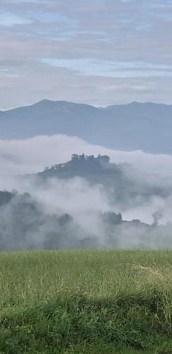 a field with fog in a field with a mountain at CASCINA BINELLO appartamenti A & B in Belvedere Langhe
