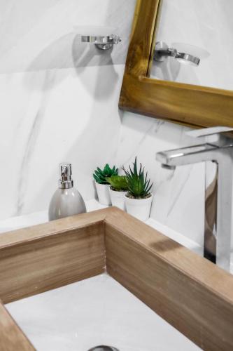 a bathroom sink with a mirror and two plants at Villa Sebastiana Bungalows in Tarapoto