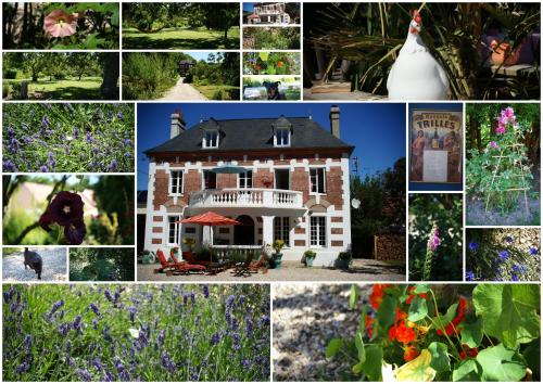 a collage of photos of a house and flowers at Chambres d'Hôtes Villa Mon Repos in Saint-Aubin-sur-Scie
