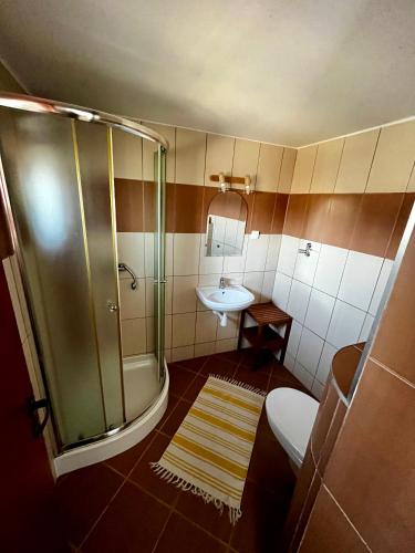 a bathroom with a shower and a toilet and a sink at Latarnik in Karwia