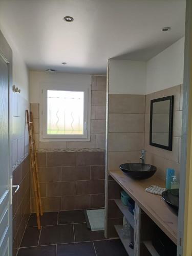 une salle de bain avec un lavabo et une douche dans l'établissement Gîte soleil ardéchois Manon, à Sampzon