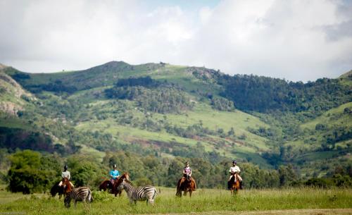 a group of people riding horses and zebras in a field at Down Gran's Self-Catering Cottage in Lobamba