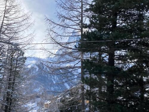 a view of a mountain through the trees at Studio Chalet with terrace & Matterhorn view in Zermatt