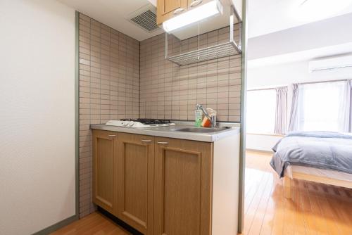 Kuchyň nebo kuchyňský kout v ubytování Atlas Apartment