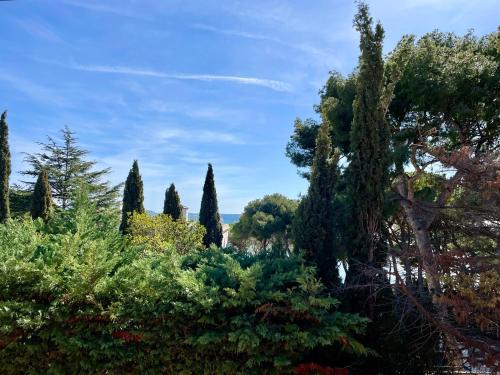 un groupe d'arbres et de buissons dans un jardin dans l'établissement Joli appartement en bordure de mer à 15 minutes du port de Bandol, à Bandol