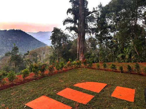 a field with orange squares on the grass with mountains in the background at Viceroy Luxury Mountain Resort and Spa in Munnar