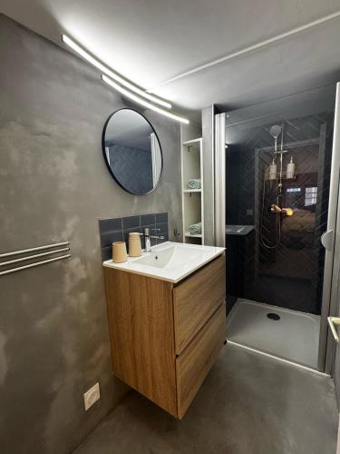 une salle de bain avec un lavabo et un miroir dans l'établissement La Casa Cosy Duplex centre ville, à Lyon