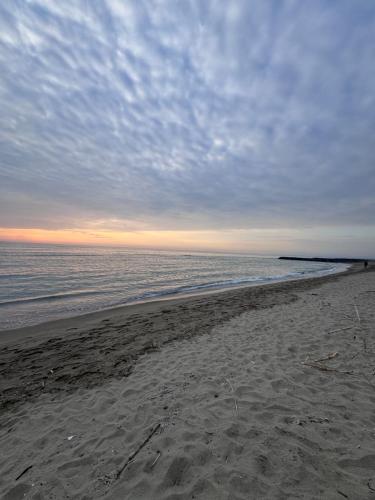 a beach with a cloudy sky and the ocean at Casa Vacanza A Due Passi Dal Mare-Relax E Confort Vicino L'aeroporto Di Fiumicino in Focene