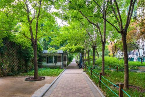 a walking path in a park with trees at Dequan Hotel Guangqumen Outer Branch in Beijing