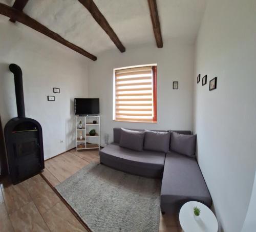 a living room with a couch and a fireplace at Mi Kis Lakunk - szállás&dézsa a szőlőhegyen in Várdomb