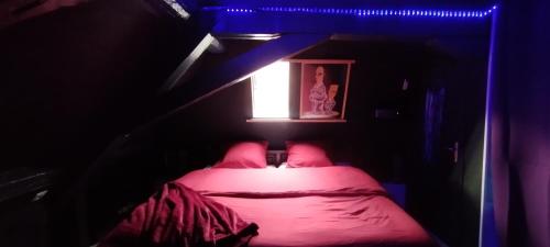 Cette chambre sombre comprend un lit et une fenêtre. dans l'établissement LoveRoom thème cinéma, à Saint-Amarin
