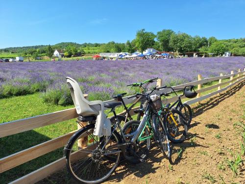 two bikes parked next to a fence in front of a lavender field at Mi Kis Lakunk - szállás&dézsa a szőlőhegyen in Várdomb