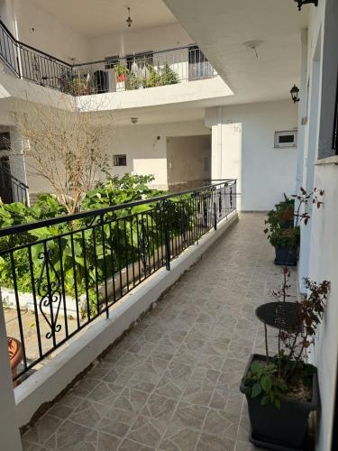 Gallery image of Sea la vie in Akrata