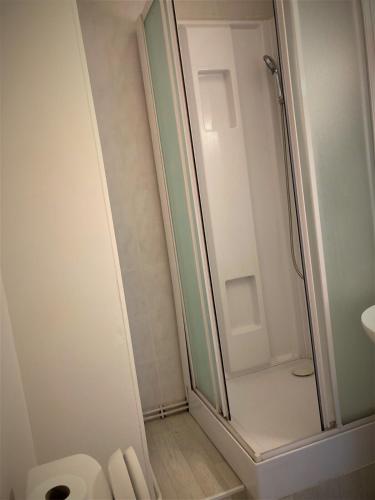 une salle de bain avec douche et toilettes dans l'établissement Appartement double 13 à Limoges, à Limoges