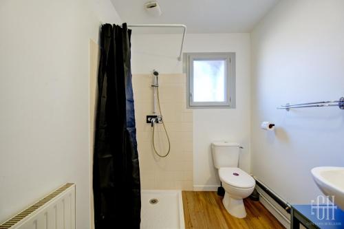 une salle de bain avec une douche, des toilettes et un lavabo dans l'établissement Terre - Proche A 10 - 2V - Parking, à Saint-Pierre-des-Corps