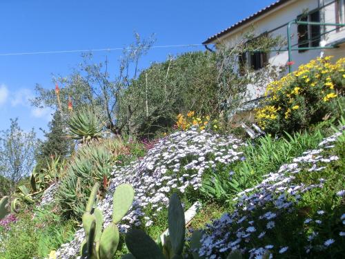 a garden of flowers in front of a building at Casa Elisio OG Innamorata, Elba in Palazzo