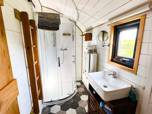 a small bathroom with a sink and a shower at Lime Kiln in Blagdon