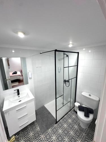 a bathroom with a shower and a toilet and a sink at El Rincón de Pancho in Guía de Isora
