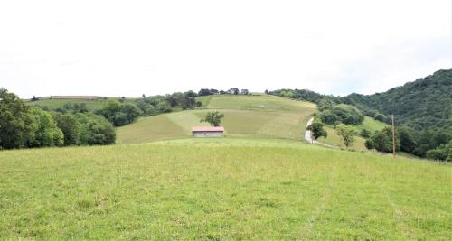 a large green field with a house on a hill at Barrandeia in Juxue