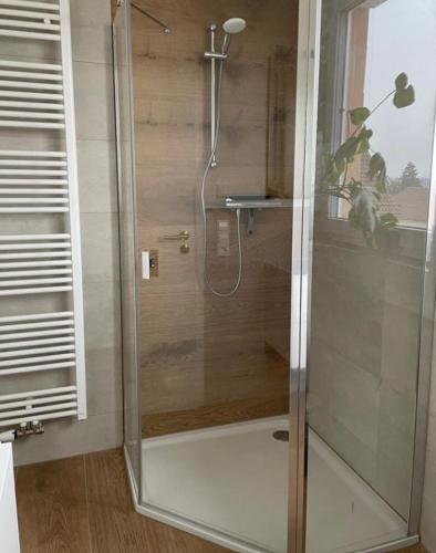 a shower with a glass door in a bathroom at Ferienwohnungen Zimmermann in Bad Waldsee
