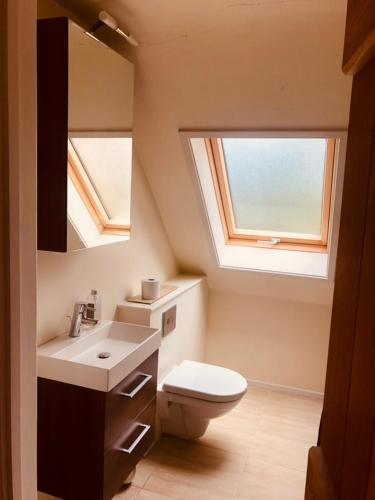 a bathroom with a toilet and a sink and two windows at The Mouse House in Harpsden