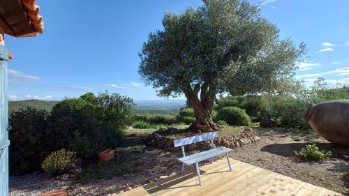a bench sitting in front of a tree at LOFT L'Olivier in Llauro