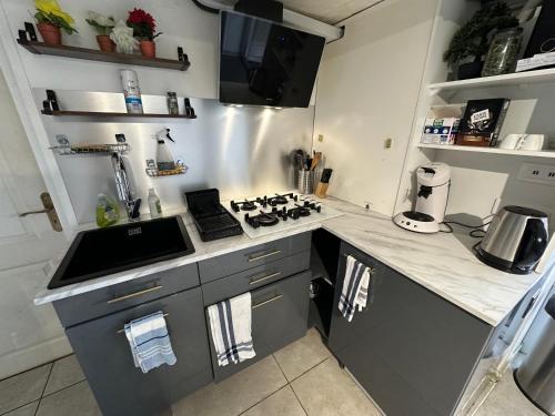 Dapur atau dapur kecil di Villa La Libellule 5 Chambres 2 Sdb 2 Wc Grand Jardin et Parking Privé