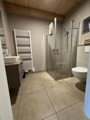 a bathroom with a shower and a toilet and a sink at Ferienwohnung Bussjans Hof in Dinklage