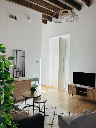 a living room with a couch and a tv at Life Apartments Arcos 27 in Jerez de la Frontera