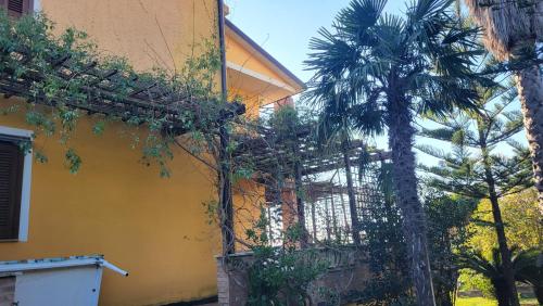 MiglierinaにあるGuest House Francoの塀付きの黄色い建物の隣のヤシの木
