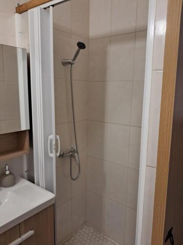a shower with a shower head in a bathroom at Casa Dorita in Odeceixe