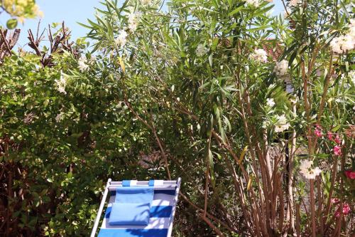 Shoreline Serenity Apartment